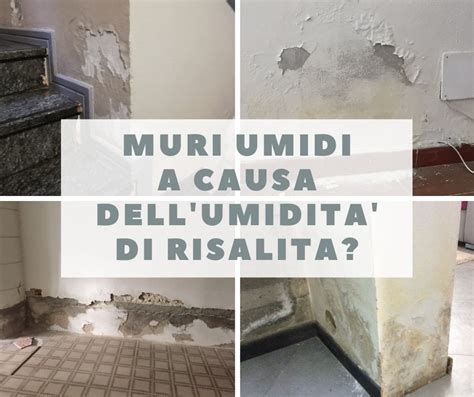 tecniche di misura dell'umidità|Diagnostica Umidità di Risalita Muri .